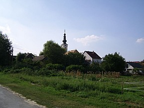 SSA41419